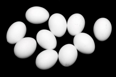 Beyaz Tavuk Yumurtaları