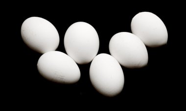 Beyaz Tavuk Yumurtaları