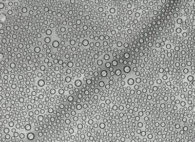 Su damlacıkları ile cam