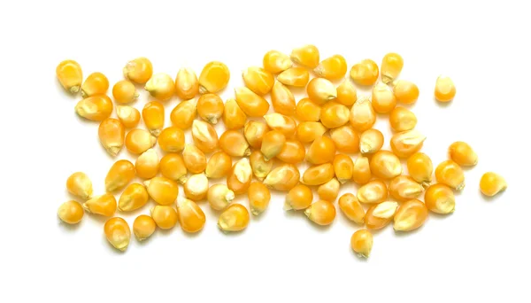 Maïs jaune pour pop-corn — Photo