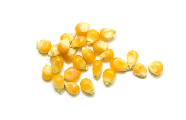 Žlutá kukuřice pro popkorn — Stock fotografie