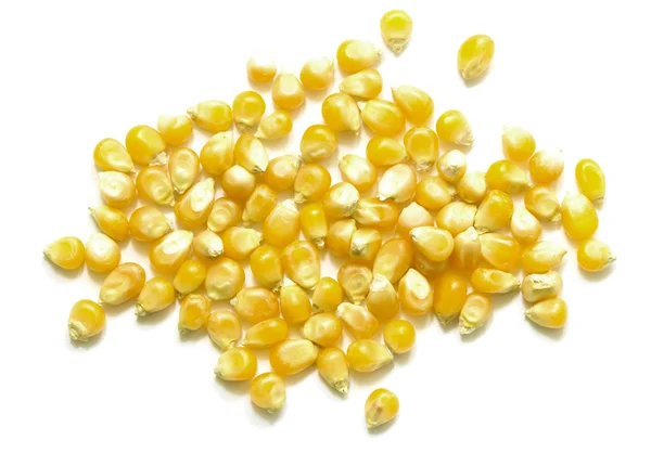 Yellow corn for popcorn — Stock Photo, Image