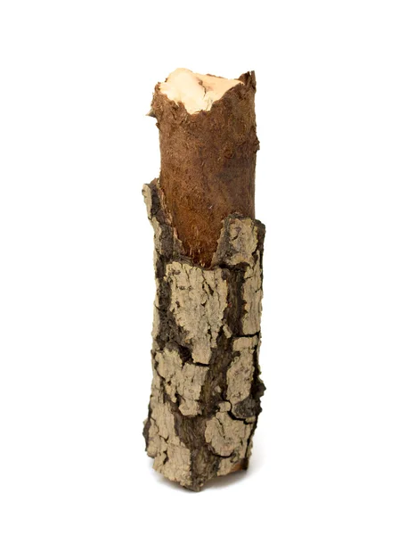 分離されたラウンド木材 — ストック写真