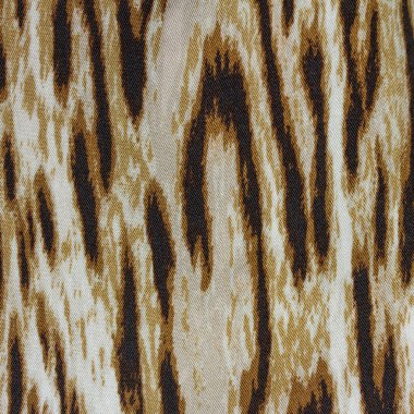 Bez arka plan bakış