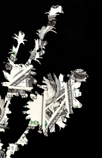 Abstract flower dollar on the black — Stock Photo, Image