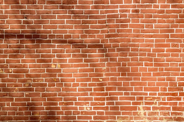 Baumschatten an der Wand — Stockfoto