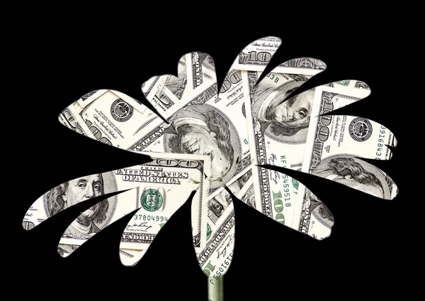 Абстрактний квітковий долар на чорному — стокове фото