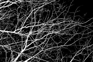 soyutlama, siyah arkaplanda beyaz ağaç dalları