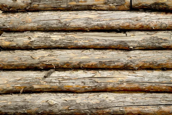 Wooden fence panels — Stock Photo, Image