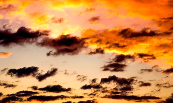 Purpurfarbener Abendhimmel — Stockfoto