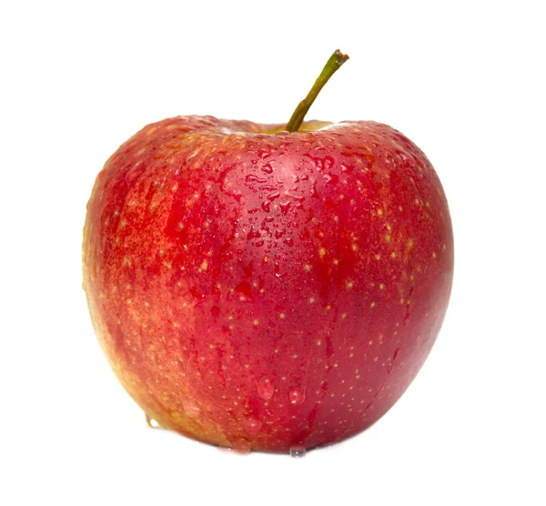 Manzana roja aislada sobre fondo blanco — Foto de Stock