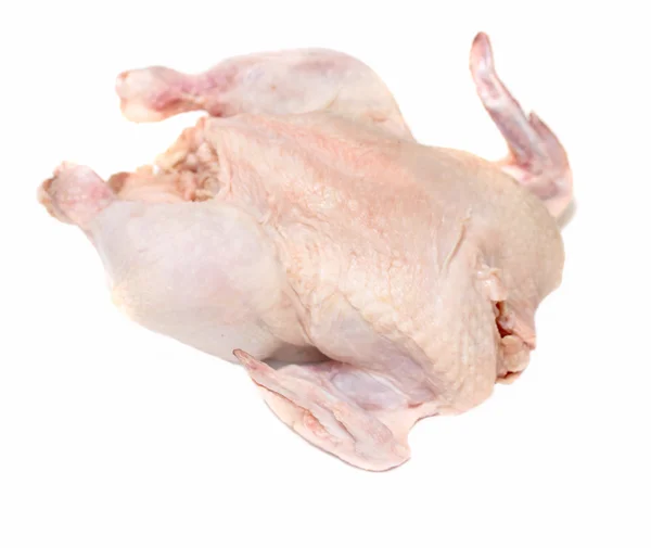 Rohe Henne auf weißem Hintergrund — Stockfoto