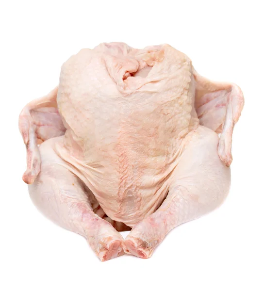 Raw hen on a white background — Stock Photo, Image