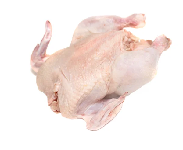 Beyaz zemin üzerine çiğ tavuk — Stok fotoğraf