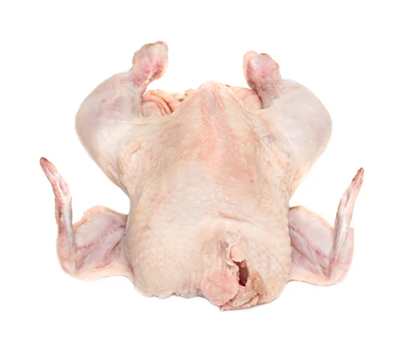 Rauwe kip op een witte achtergrond — Stockfoto