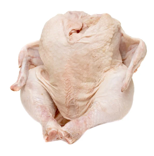 Raw hen on a white background — Stock Photo, Image