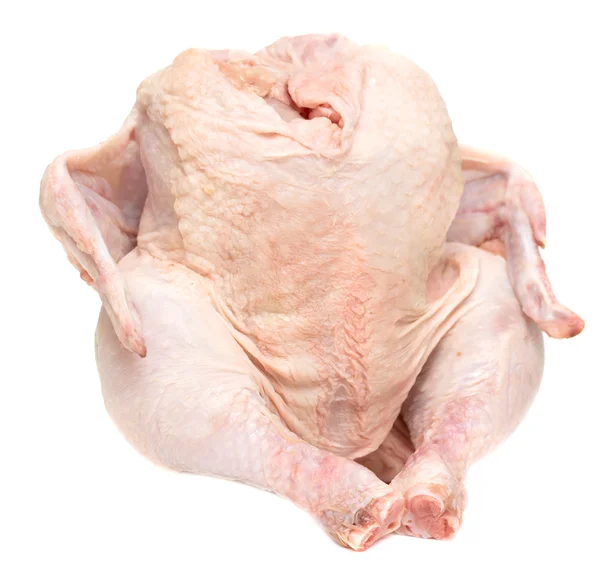 Raw hen on a white background — Stock Photo, Image