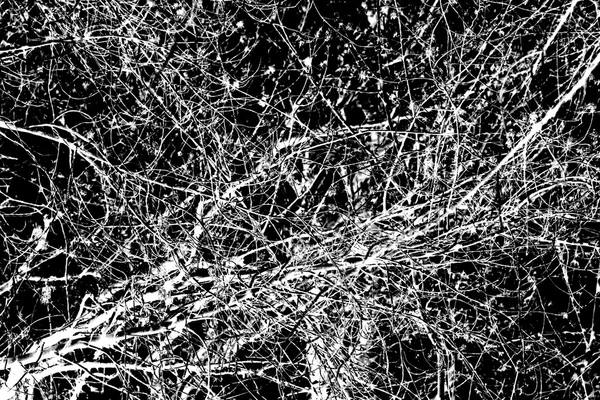 abstraction, white tree branches on a black background