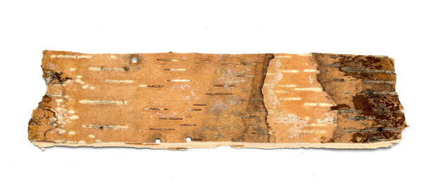 Березовая кора крупным планом
