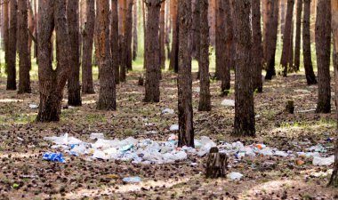 Orman ekoloji çöp yığını