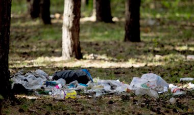 Orman ekoloji çöp yığını
