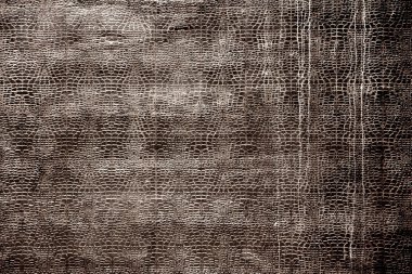 Cilt renkli arka plan örnekleri