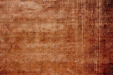 Cilt renkli arka plan örnekleri