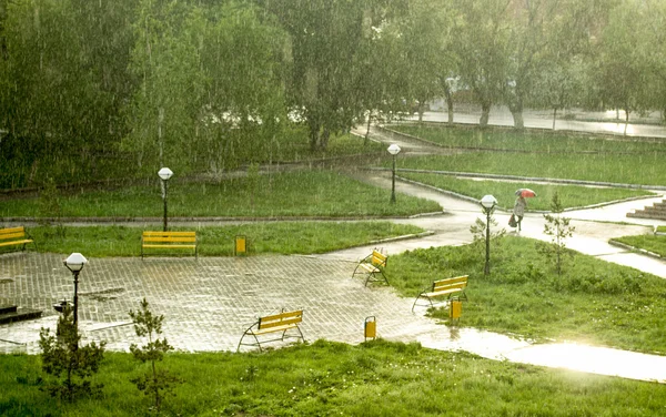 Bir pencere bölmesinde yağmur damlaları — Stok fotoğraf