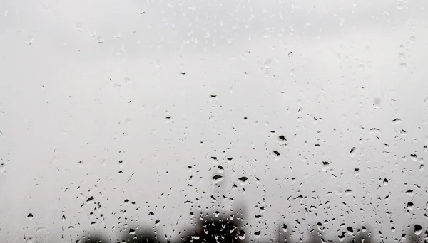 Krople deszczu na szybie, — Zdjęcie stockowe
