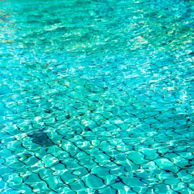 Yüzme Havuzu su mavi