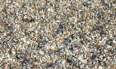 arka plan bir plaj çakıl