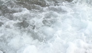 Sahilde dalga köpüğü.