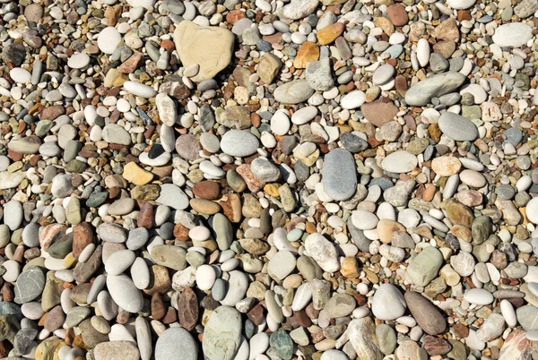 Fundo de seixos em uma praia — Fotografia de Stock