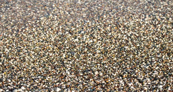Pebbles em uma praia close-up — Fotografia de Stock