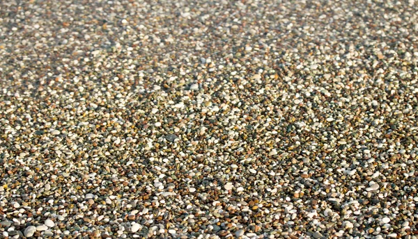 Pebbles em uma praia close-up — Fotografia de Stock