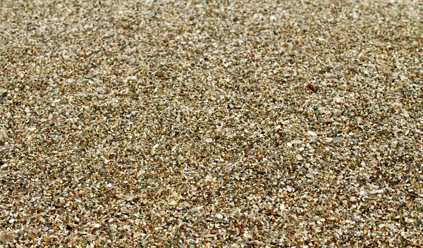 Fondo de guijarros en una playa —  Fotos de Stock