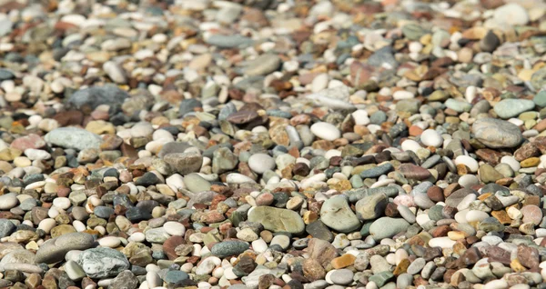 Fundo de seixos em uma praia — Fotografia de Stock