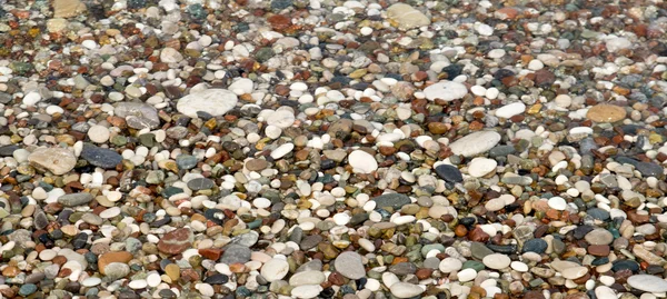 Fundo de seixos em uma praia — Fotografia de Stock