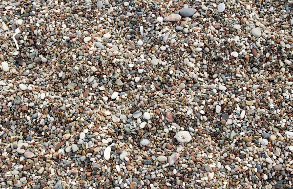 Fundo de seixos em uma praia — Fotografia de Stock