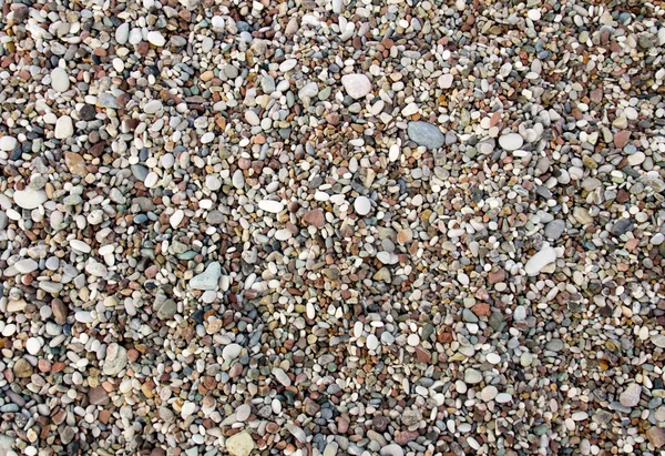 Fondo de guijarros en una playa — Foto de Stock