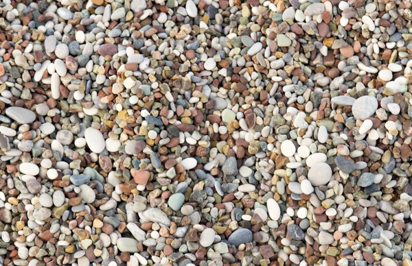 Seixos coloridos em uma praia — Fotografia de Stock