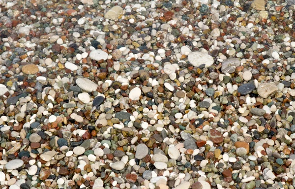 Seixos coloridos em uma praia — Fotografia de Stock