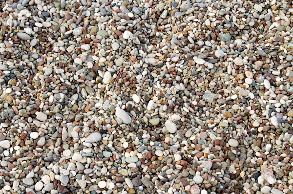 Seixos coloridos em uma praia — Fotografia de Stock