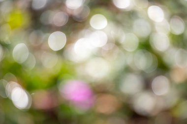 A blurry image of a green background with pink flowers. The flowers are scattered throughout the image, with some in the foreground and others in the background. Scene is soft and dreamy