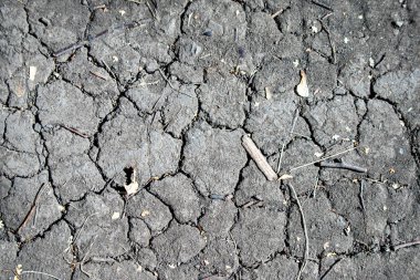 Çatlamış ve kurumuş bir yere yakın çekim. Zemin toprak ve molozlarla dolu ve görünüşe göre uzun zamandır elementlere maruz kalmış. Terkedilme ve yalnızlık kavramı