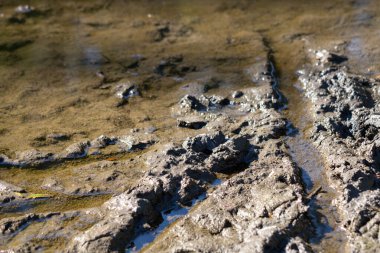 The muddy water is murky and dirty. The mud is thick and wet, and it is difficult to see through it