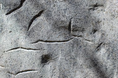 Texture of an old concrete wall. Background for the photographer.