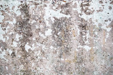 Texture of an old concrete wall. Background for the photographer.