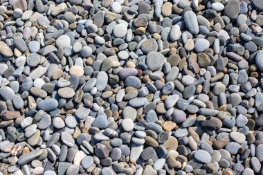 Background texture of sea pebbles, round small stones.