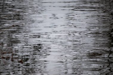 Görüntü dalgalı ve dalgalı suyun bulanık bir yansıması. Su sakin ve hareketsiz görünüyor, görünür bir hareket yok.